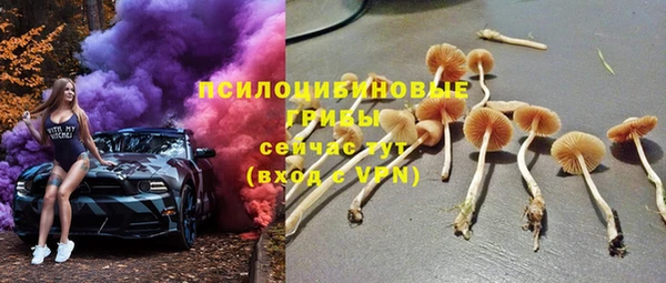 ешки Абаза