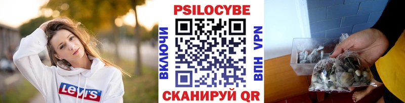 Псилоцибиновые грибы прущие грибы  Новоаннинский 